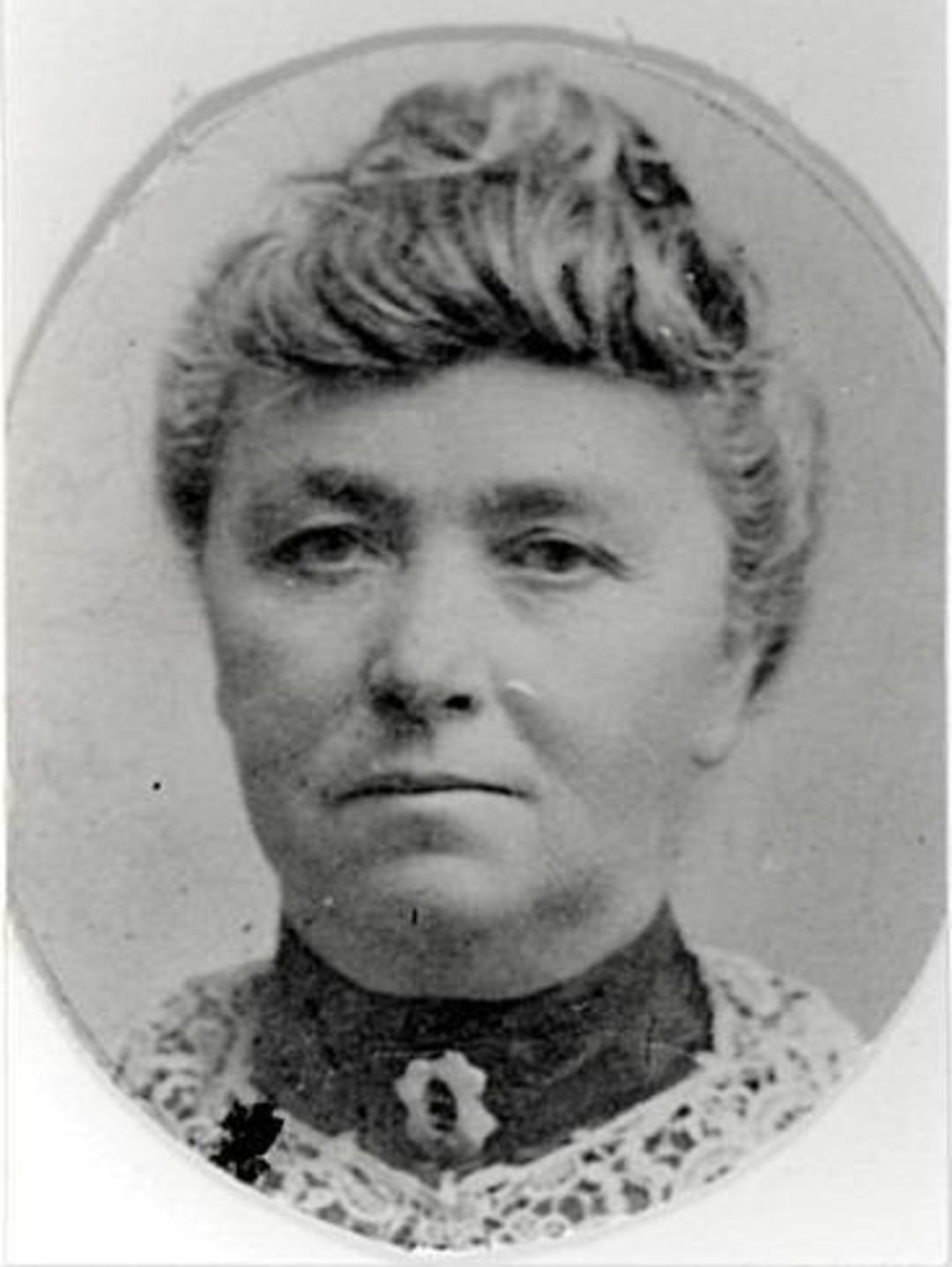 Ann Maria Price (1859 - 1924) Profile